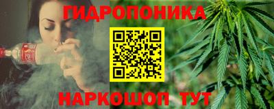 jwh Гусев