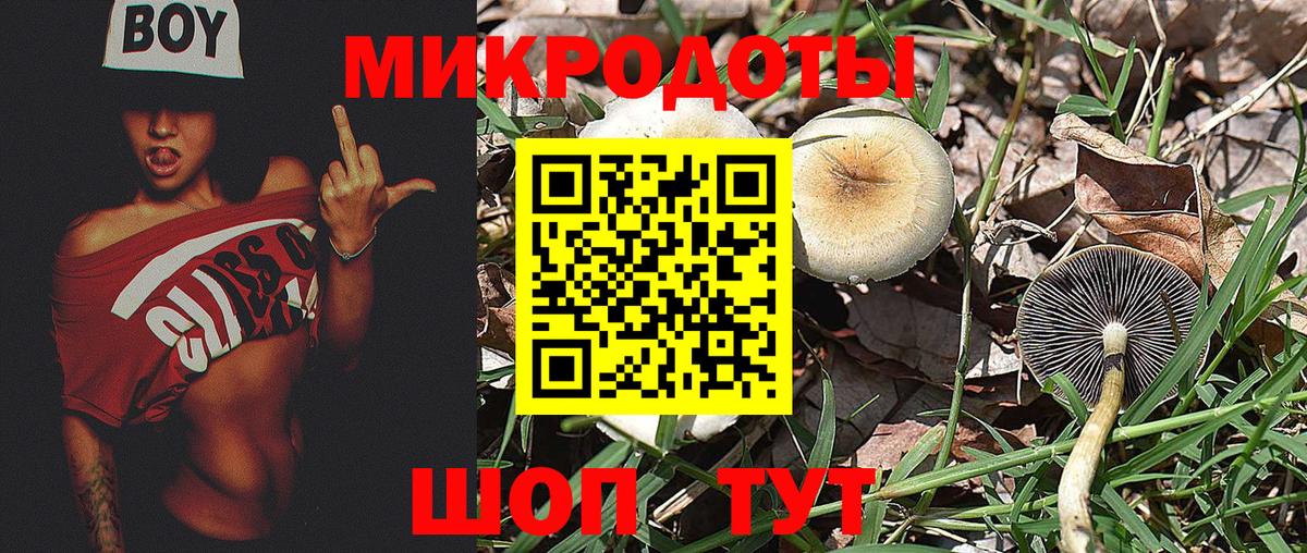 Псилоцибиновые грибы мухоморы Нижнекамск