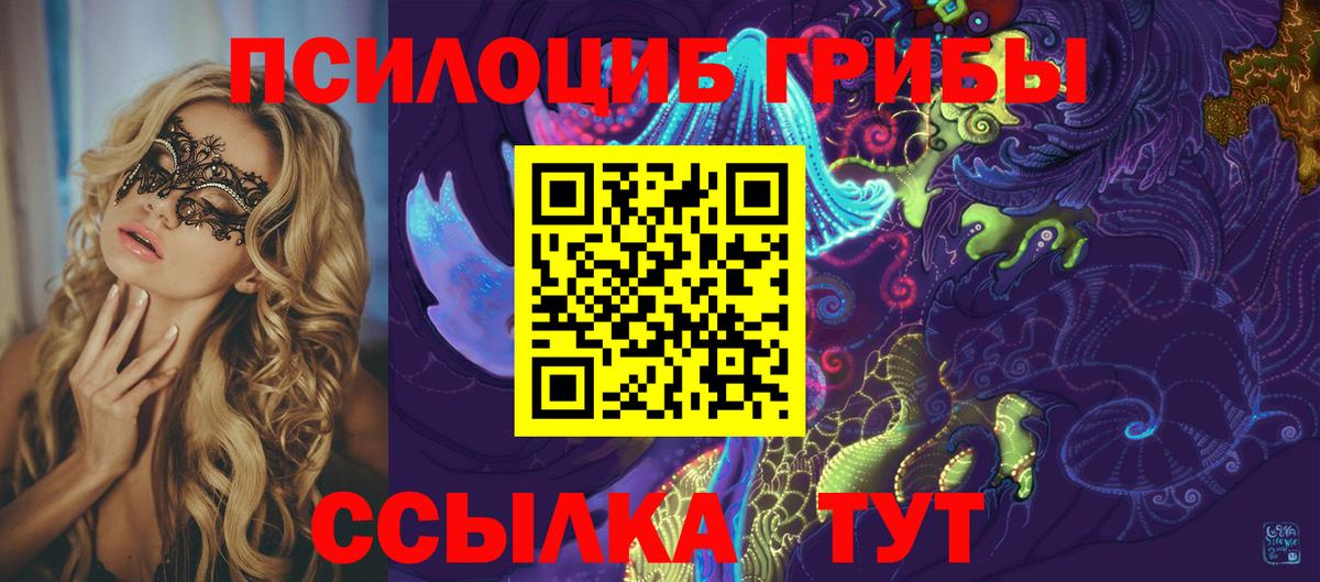 Псилоцибиновые грибы Psilocybine cubensis  Вход с VPN  Псилоцибиновые грибы Psilocybine cubensis  Нижнекамск 