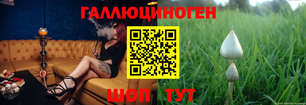 ГАШ  Кокаин  Меф МЯУ МЯУ   Экстази  НБОМе  Меф  Нижнекамск  Вход с VPN 